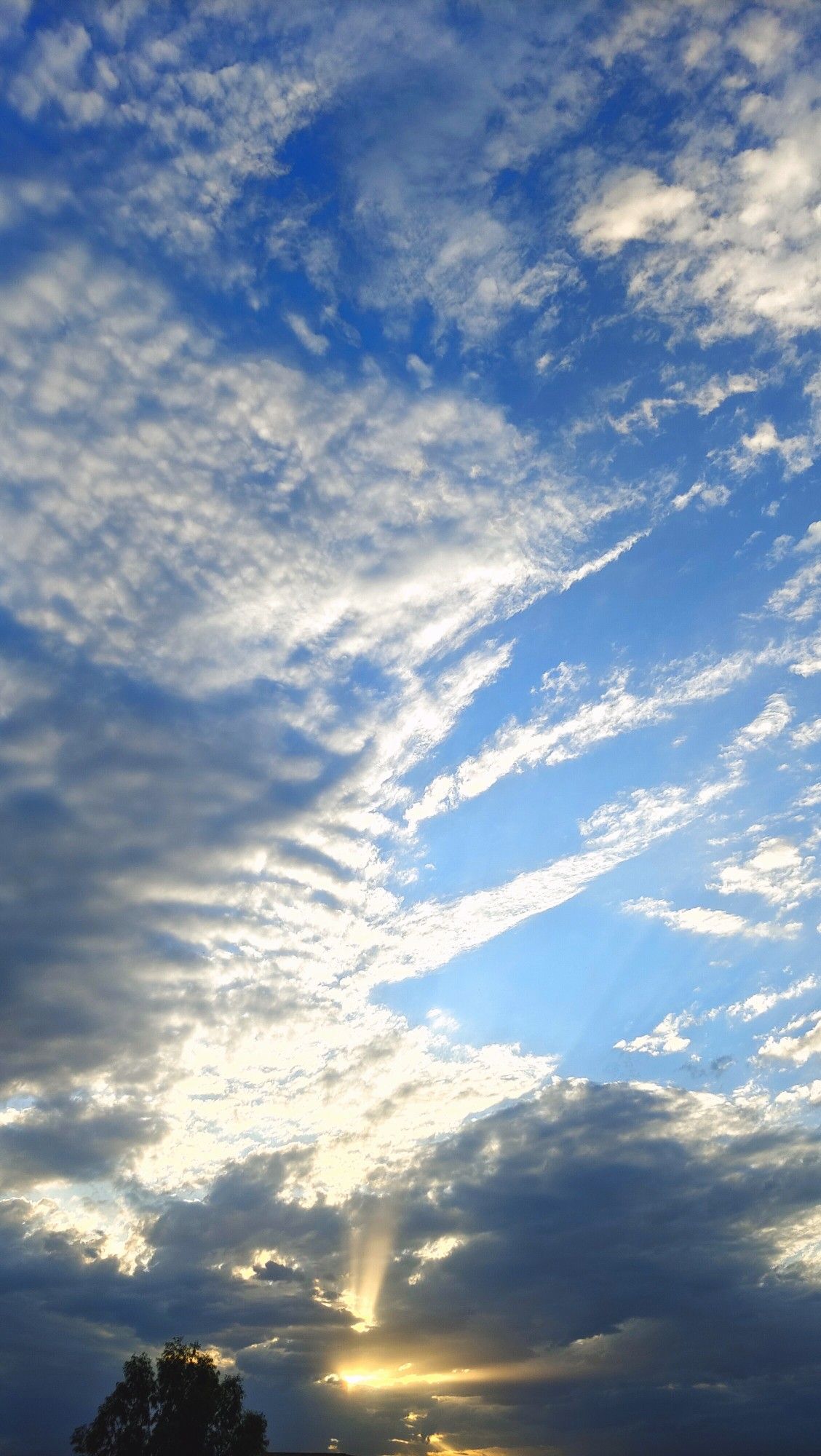 Five Things on a Friday – 9/15/23